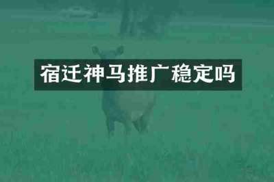 宿迁神马推广稳定吗
