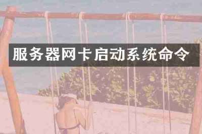 服务器网卡启动系统命令