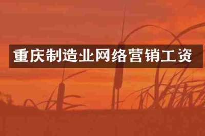 重庆制造业网络营销工资