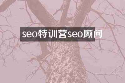 seo特训营seo顾问