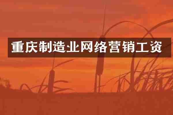 重庆制造业网络营销工资