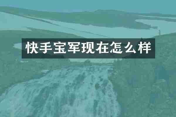 快手宝军现在怎么样