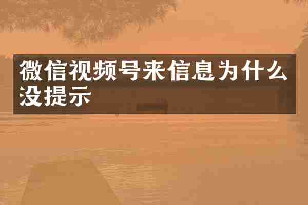 微信视频号来信息为什么没提示