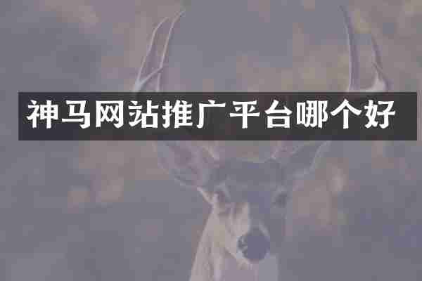 神马网站推广平台哪个好