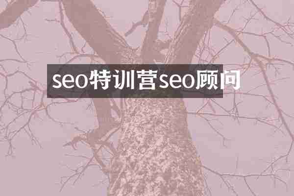 seo特训营seo顾问