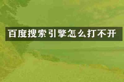 百度搜索引擎怎么打不开