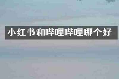 小红书和哔哩哔哩哪个好