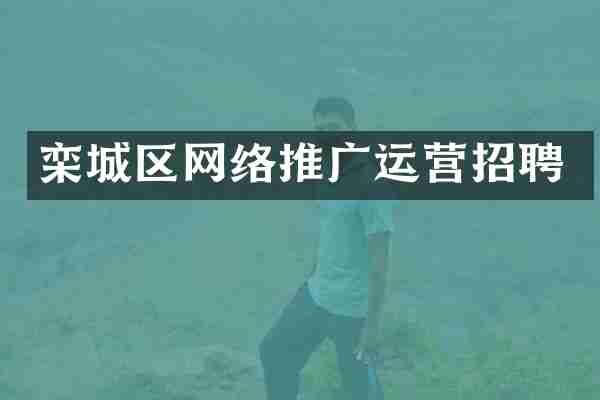 栾城区网络推广运营招聘