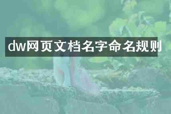 dw网页文档名字命名规则