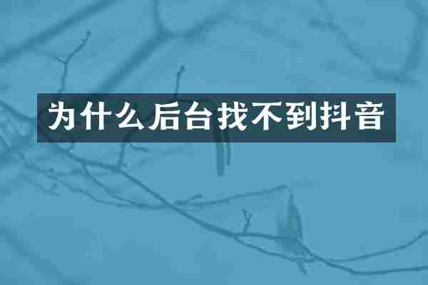 为什么后台找不到抖音