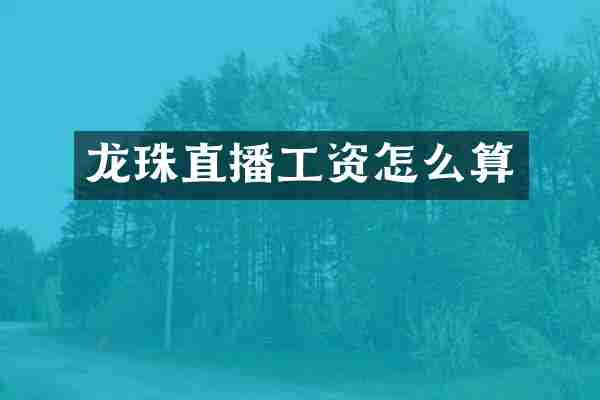 龙珠直播工资怎么算