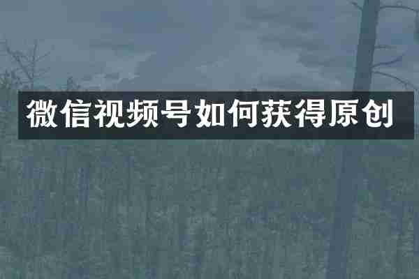 微信视频号如何获得原创