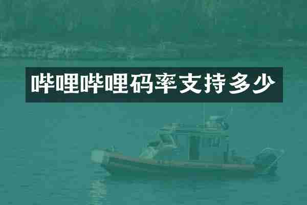 哔哩哔哩码率支持多少