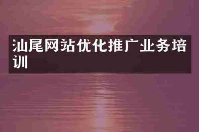 汕尾网站优化推广业务培训