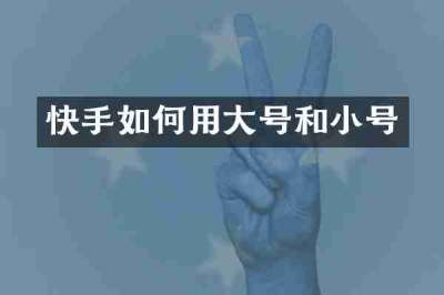 快手如何用大号和小号