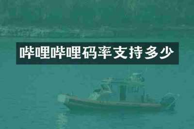 哔哩哔哩码率支持多少