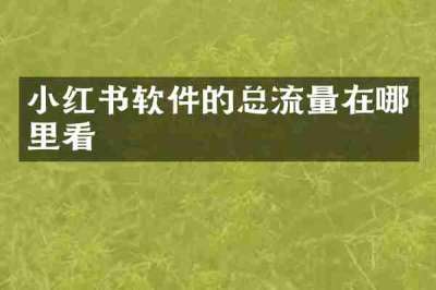 小红书软件的总流量在哪里看