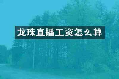 龙珠直播工资怎么算