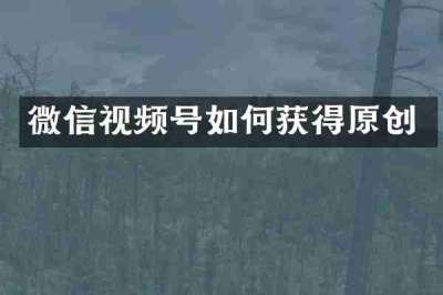 微信视频号如何获得原创