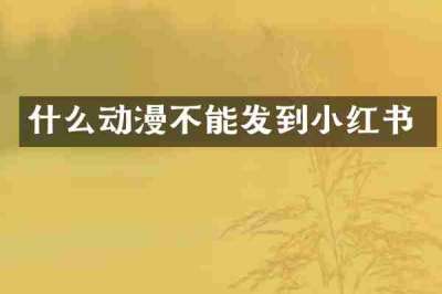 什么动漫不能发到小红书