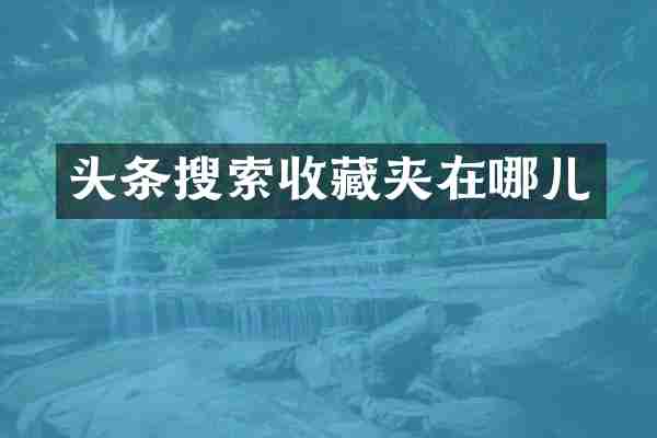 头条搜索收藏夹在哪儿