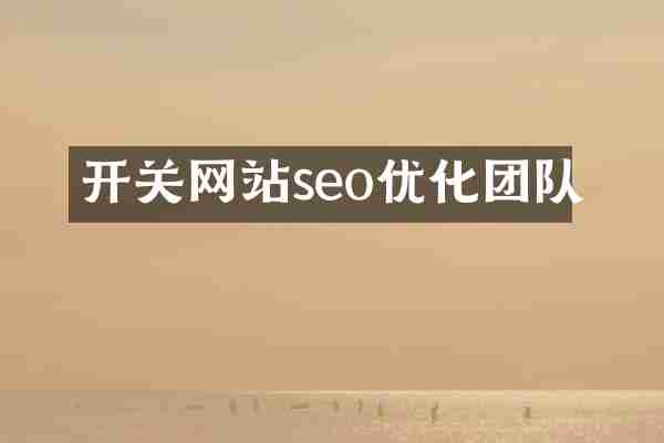 开关网站seo优化团队