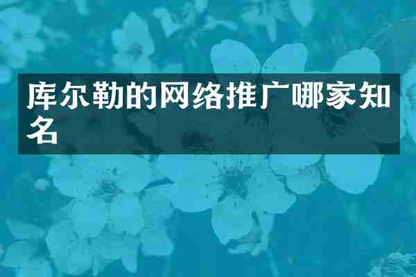 库尔勒的网络推广哪家知名