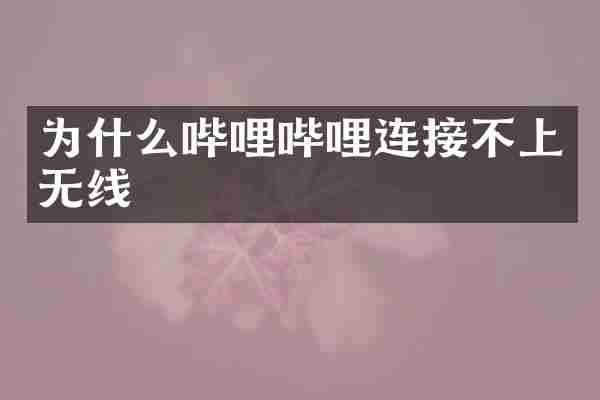 为什么哔哩哔哩连接不上无线