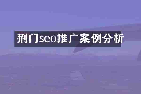 荆门seo推广案例分析