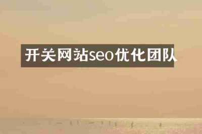 开关网站seo优化团队