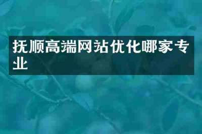 抚顺高端网站优化哪家专业