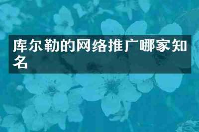 库尔勒的网络推广哪家知名