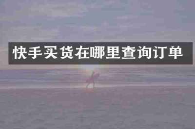 快手买货在哪里查询订单
