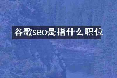 谷歌seo是指什么职位