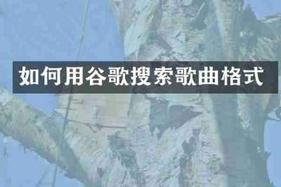 如何用谷歌搜索歌曲格式