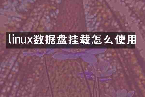 linux数据盘挂载怎么使用