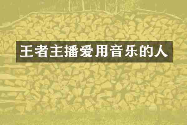 王者主播爱用音乐的人
