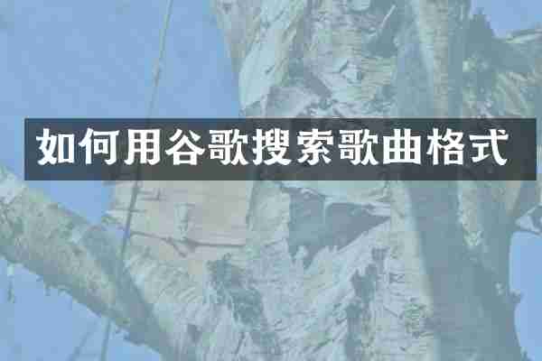 如何用谷歌搜索歌曲格式
