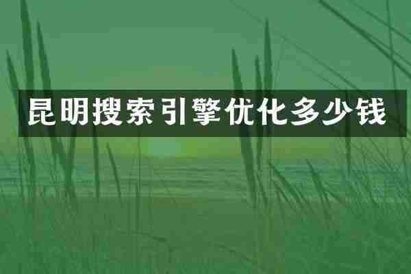 昆明搜索引擎优化多少钱