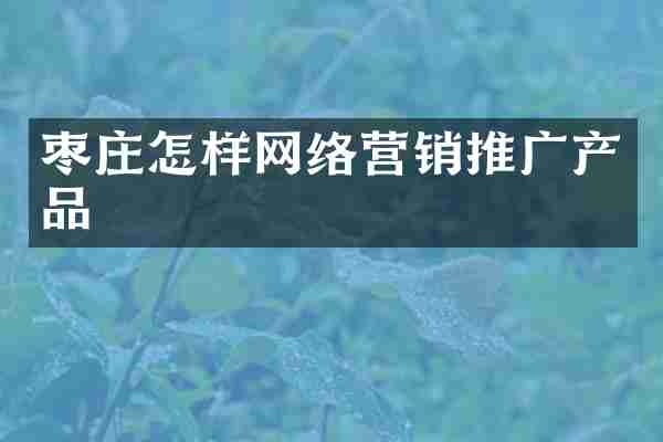 枣庄怎样网络营销推广产品