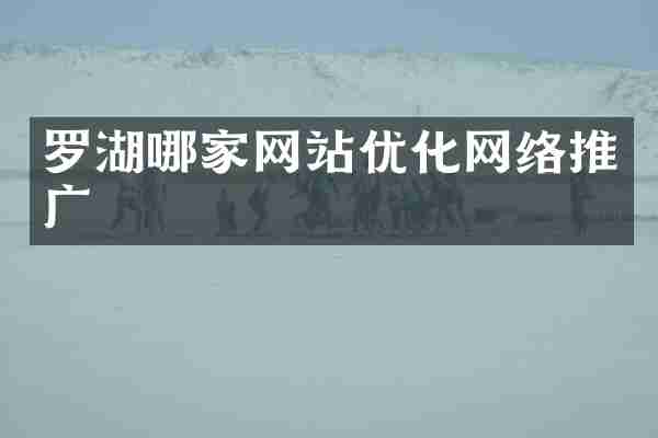 罗湖哪家网站优化网络推广