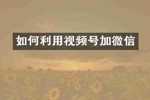 如何利用视频号加微信