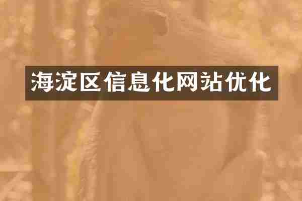 海淀区信息化网站优化