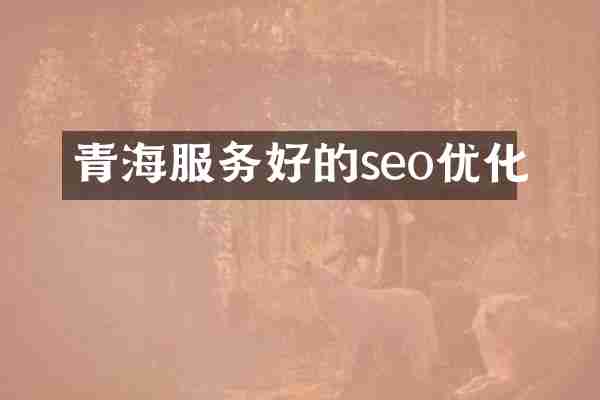 青海服务好的seo优化