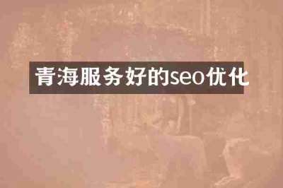 青海服务好的seo优化