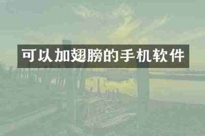 可以加翅膀的手机软件