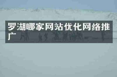罗湖哪家网站优化网络推广