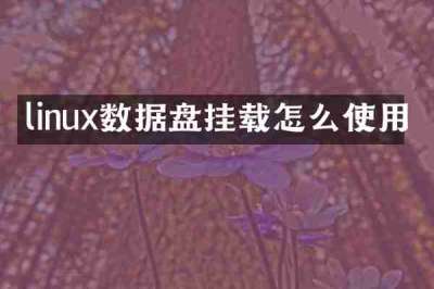 linux数据盘挂载怎么使用
