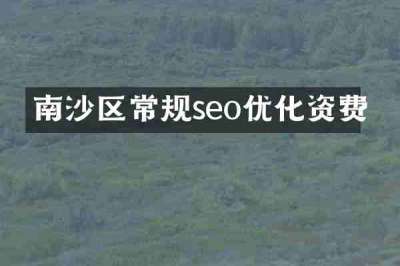 南沙区常规seo优化资费