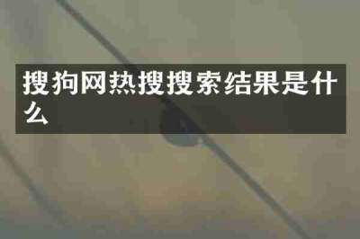 搜狗网热搜搜索结果是什么